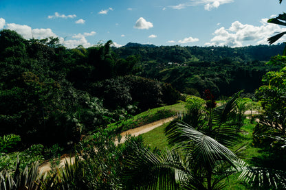 Colombia - Salado Blanco