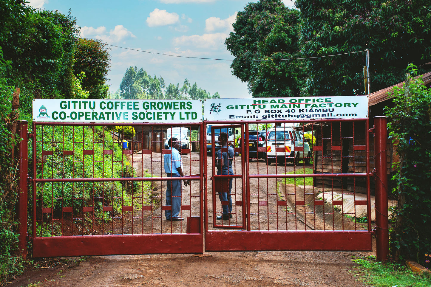 Kenya - Gititu AA