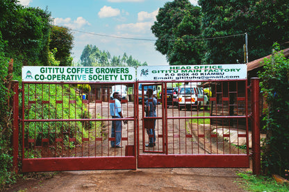 Kenya - Gititu AA