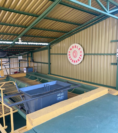 Costa Rica - Noble Esperanza SL28